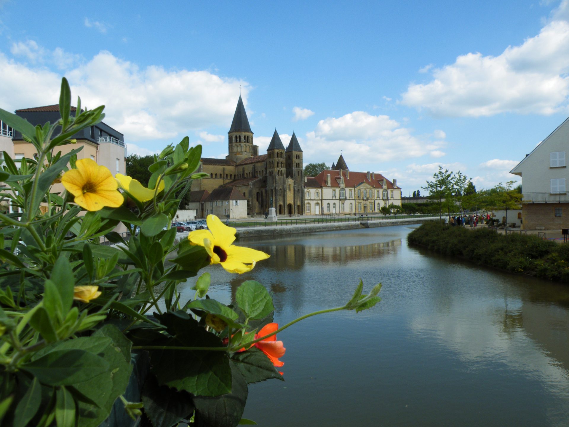 Go encounter photo with flowers and buildings