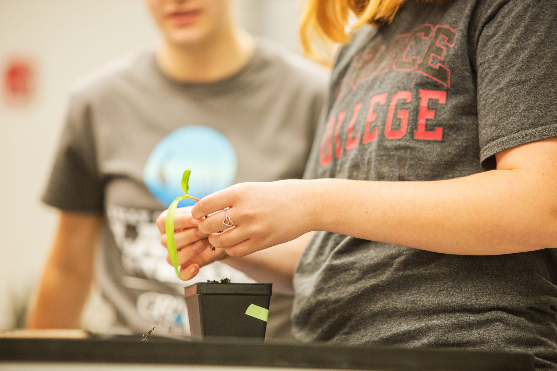 Environmental Science Major Students in chemistry lab holding a small plant