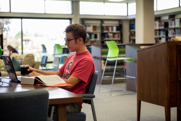 Student studying at the library