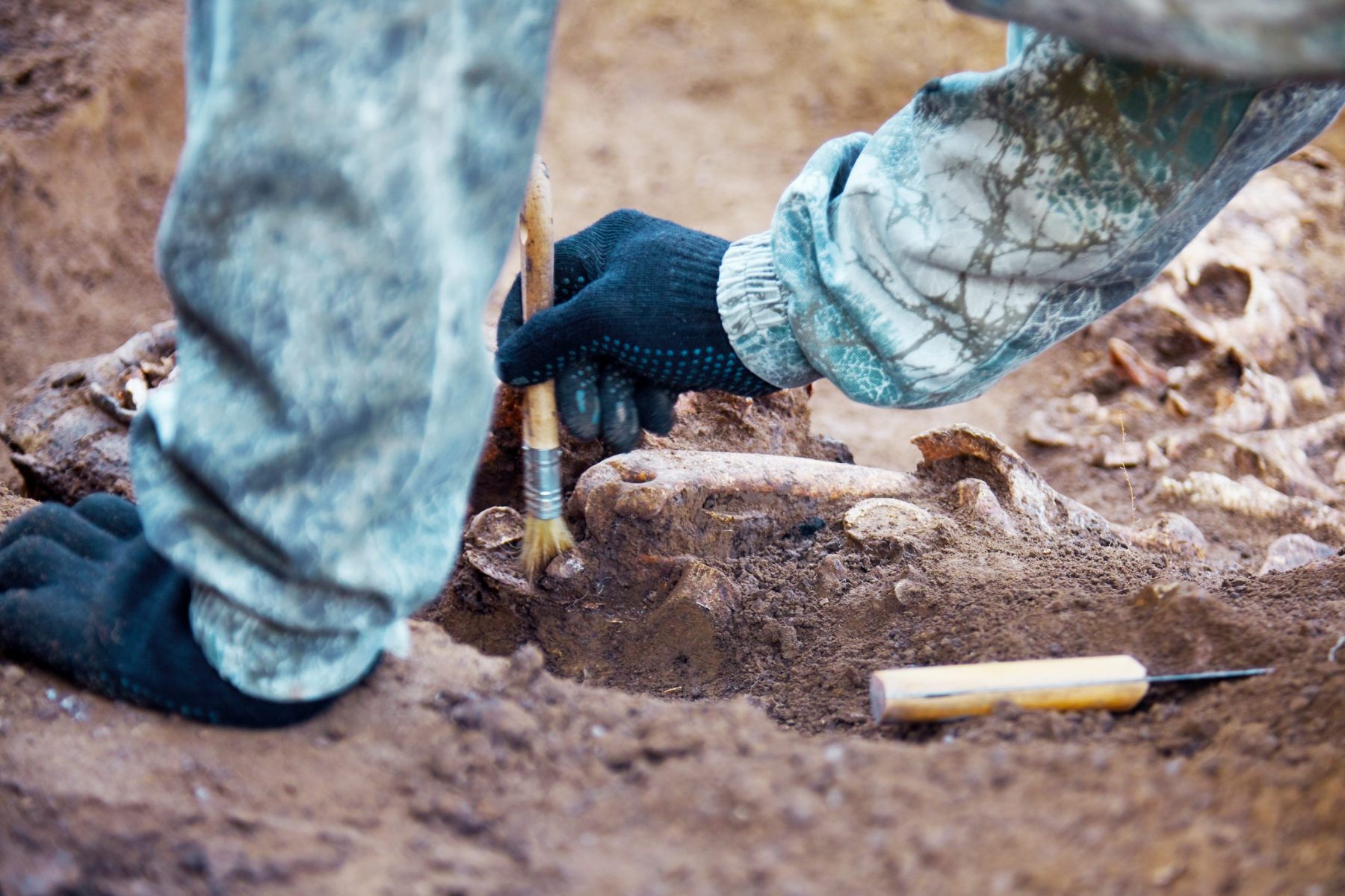 Grace College offers an Archaeology Minor. Learn about our history and archaeology degree hands on with the Winona History Center.