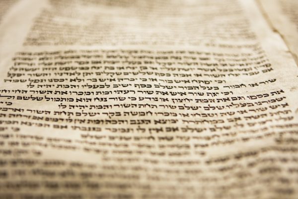 A Grace College Biblical Language Minor prepares students to become servant leaders. Learn more about our Biblical Language Degree!