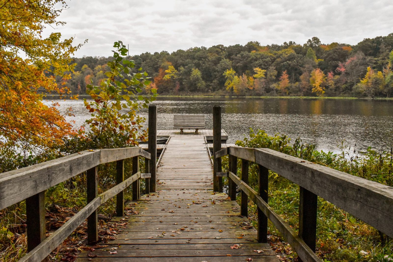 An Eco Art Major at Grace College is an interdisciplinary approach to the study of the visual arts and our natural ecosystems.