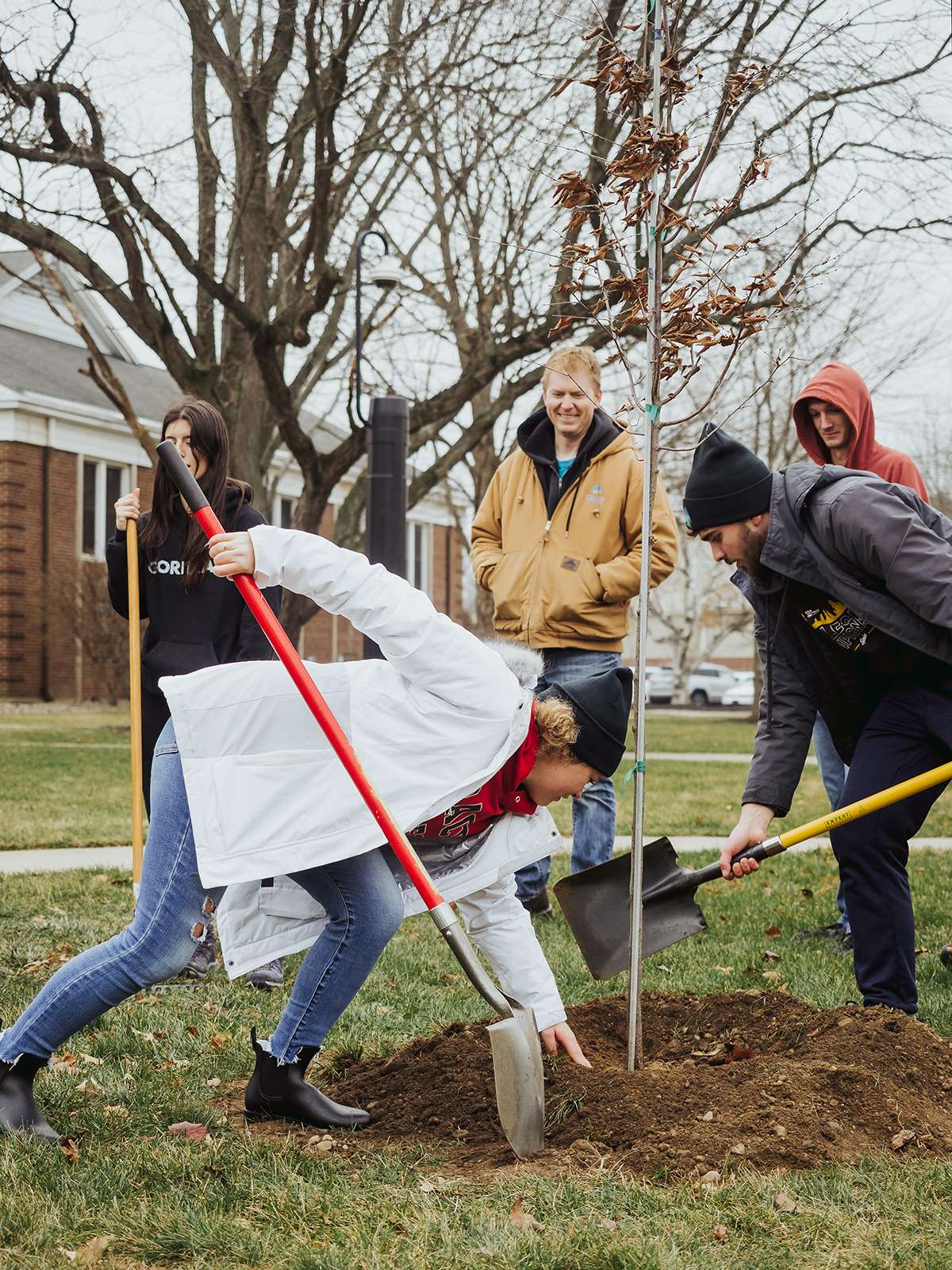 grace-grows-closer-to-tree-campus-status-plants-12-native-tree-species