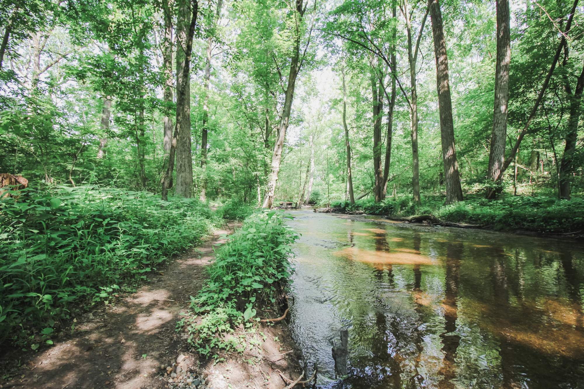 Read about caring for God's creation with an Environmental science degree. Grace College is a Christian College in Indiana. Learn More today.